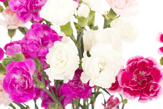 Beautiful bunch of dianthus caryphyllus