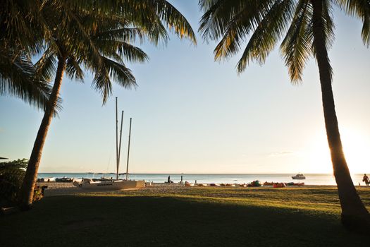 Landscape shot of boat and coconut palm tree in a beautiful coast