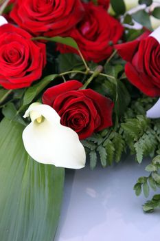 Arum lily, or white calla lily, in a bridal bouquet of fresh red roses lying on a table top