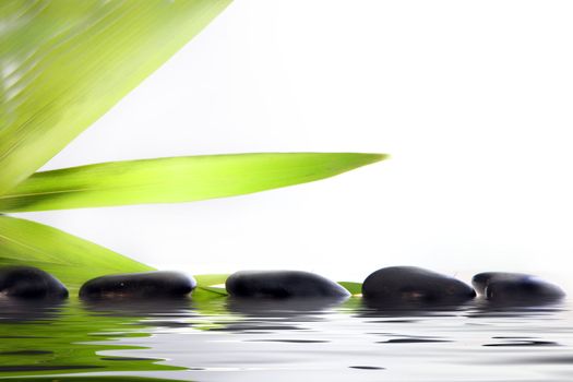 Conceptual wellbeing and pampering image of spa massage stones partially submerged in reflective water with green leaf fronds on a white background with copyspace