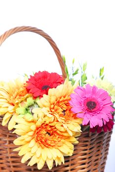 Decorative arrangement of a basketful of colourful assorted summer flowers in yellow, pink and red isolated on white