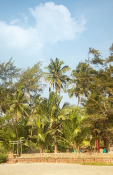 View on residential bungalow in the palm jungles. Vibrant colors and sun light