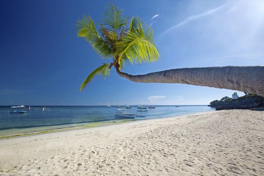 View of the beautiful beach on Panglao Island, Bohol