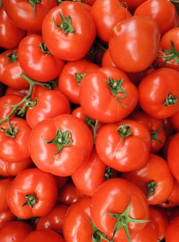 Red tomatoes background