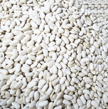 White beans background