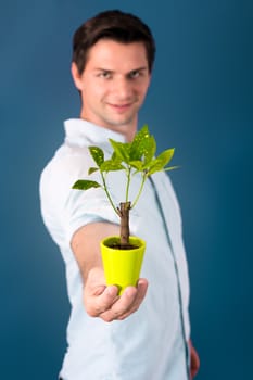 Young man holding a small tree with a blue background
