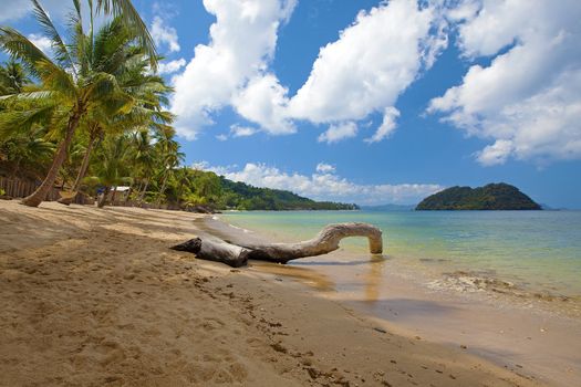 Untouched nature in El Nido, Palawan, Philippines