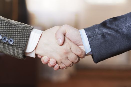 A friendly handshake two business partners in the office