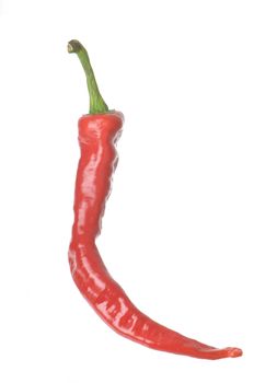 Single Cayenne Pepper isolated against a white background