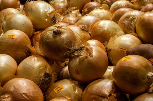Onions on Display at Farmer's Market