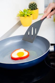 Fried egg in colorful pepper 