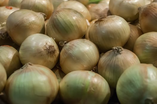 Onions on Display at Farmer's Market