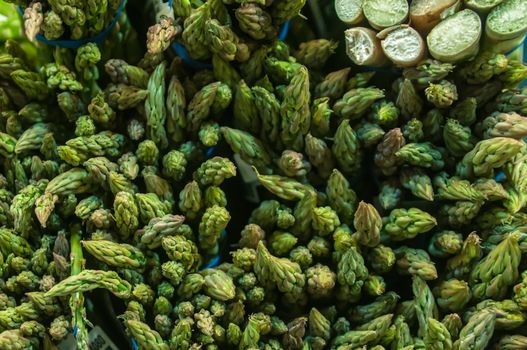 Bunches of asparagus on display at the farmers market