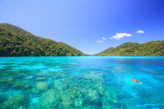 Snorkeling point woth beautiful coralscape at Surin national park Phuket Thailand