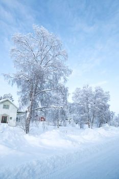 Winter landscape at Kiruna Lapland Sweden