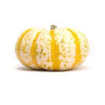 Single fairytale pumpkin isolated on white background with light shadow