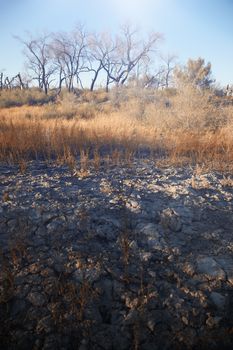 Landscape of the arid location in summer