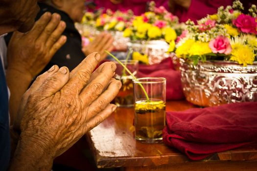 Grandma hands, greeting the New Year