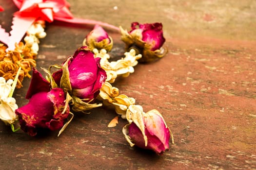Died rose on wood background