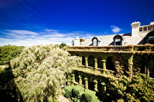 Double storey house with long balconies in Tasmania covered in creepers to roof height