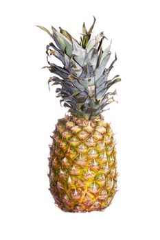 Fresh pineapple on a white background. Color photo