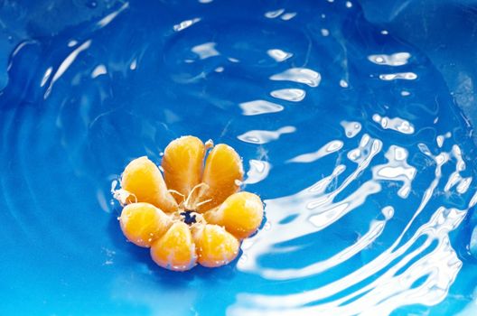 Close-up photo of the orange mandarin on a blue water background