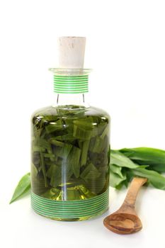 a bottle garlic tincture on a white background