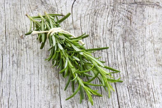 fresh rosemary (Rosmarinus officinalis)