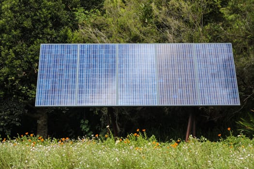 Solar panel in front of trees generating green energy