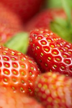 Fresh strawberry. Close-up colorful photo