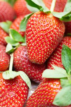 Fresh strawberry. Close-up colorful photo