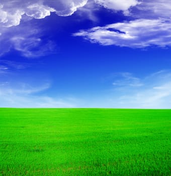 Summer landscape - blue sky and green field