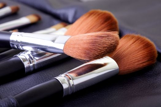 Makeup brush set. Close-up photo