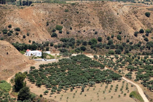 Olive groves around Kardamena as seen from the fortress Antimachia.  Kos island, Dodecanese