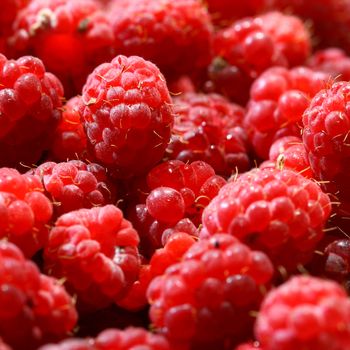 raspberry
