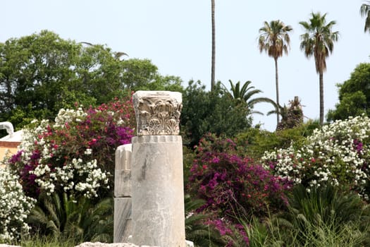 the ruins of the ancient agora on Kos Island, Dodecanese