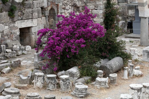 Fortress of the Knights of Saint John of Rhodes on Kos island, Greece 

