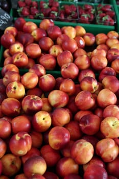 Fresh fruit market in Kos 