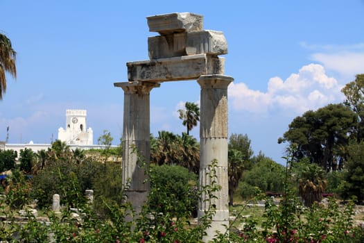 the ruins of the ancient agora on Kos Island, Dodecanese