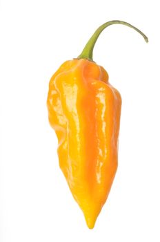 Single Fatalii Pepper isolated against a white background