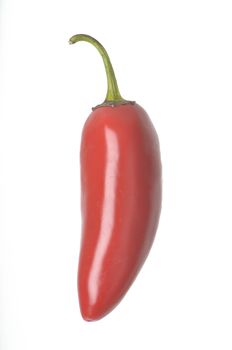 Single Pepper isolated against a white background