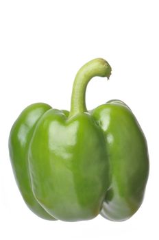 Single Green Bell Pepper isolated against a white background