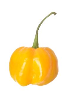 Single Scoth Bonnet Pepper isolated against a white background