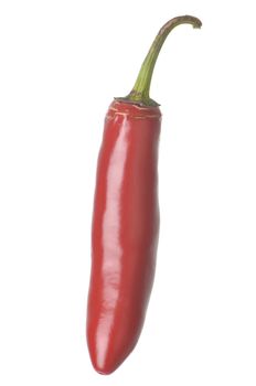 Single Serrano Pepper isolated against a white background