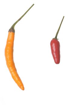 Red and Orange Thai Peppers isolated against a white background