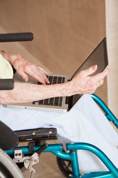Close-up of woman on wheelchair using laptop.