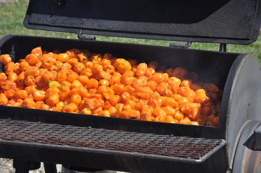 Large batch of hot chili peppers being smoked on a grill