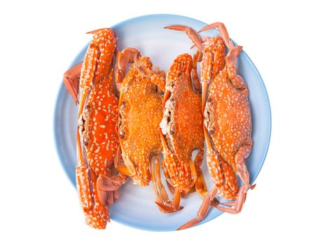 Steam food crab on dish
