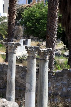 the ruins of the ancient agora on Kos Island, Dodecanese