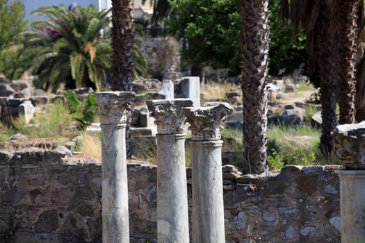 the ruins of the ancient agora on Kos Island, Dodecanese